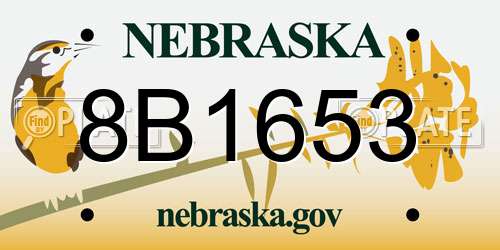 8B1653 Nebraska License Plate