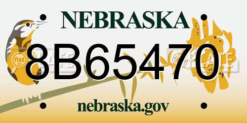 8B65470 Nebraska License Plate