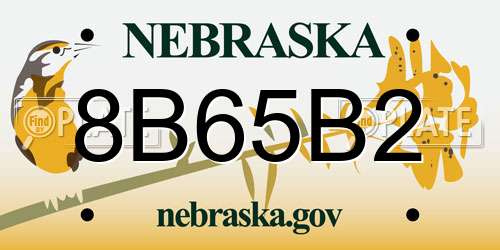 8B65B2 Nebraska License Plate