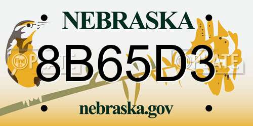 8B65D3 Nebraska License Plate