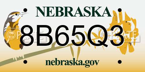 8B65Q3 Nebraska License Plate