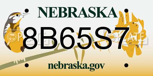 8B65S7 Nebraska License Plate
