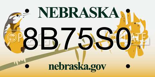 8B75S0 Nebraska License Plate