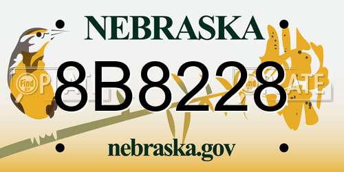 8B8228 Nebraska License Plate