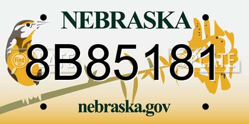 8B85181 Nebraska License Plate