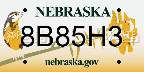 8B85H3 Nebraska License Plate