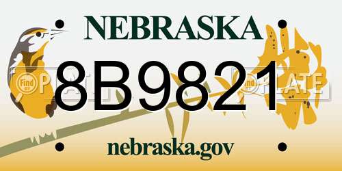 8B9821 Nebraska License Plate