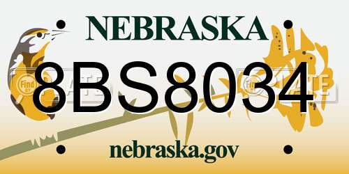 8BS8034 Nebraska License Plate