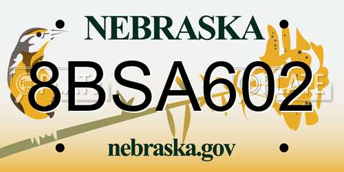 8BSA602 Nebraska License Plate