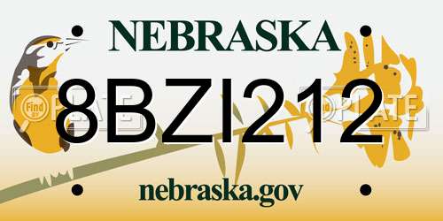 8BZI212 Nebraska License Plate
