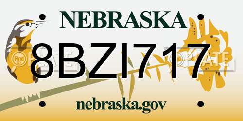 8BZI717 Nebraska License Plate