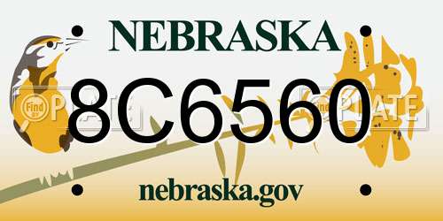 8C6560 Nebraska License Plate