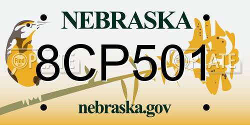 8CP501 Nebraska License Plate