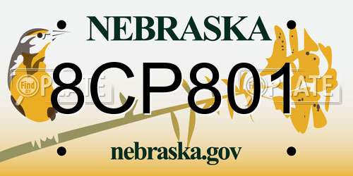 8CP801 Nebraska License Plate