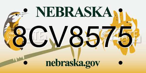 8CV8575 Nebraska License Plate