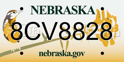 8CV8828 Nebraska License Plate