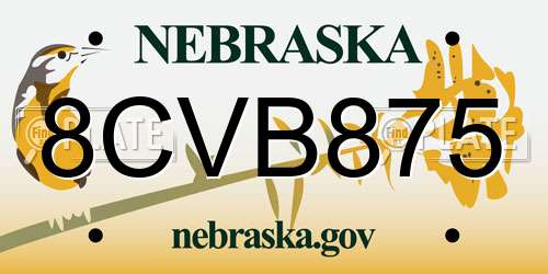 8CVB875 Nebraska License Plate