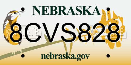 8CVS828 Nebraska License Plate