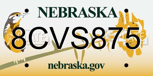 8CVS875 Nebraska License Plate