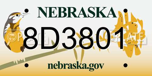 8D3801 Nebraska License Plate