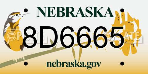 8D6665 Nebraska License Plate