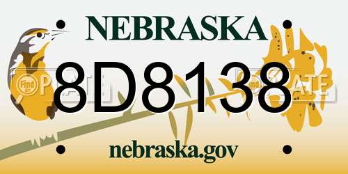 8D8138 Nebraska License Plate