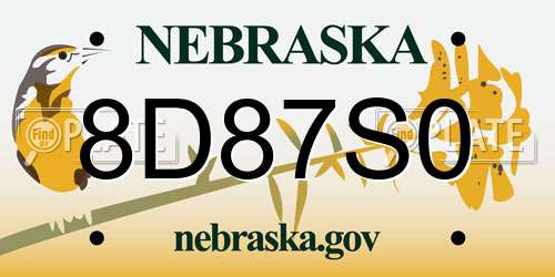 8D87S0 Nebraska License Plate