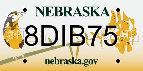 8DIB75 Nebraska License Plate