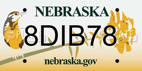 8DIB78 Nebraska License Plate