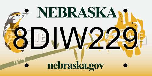 8DIW229 Nebraska License Plate