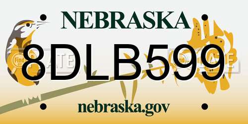 8DLB599 Nebraska License Plate