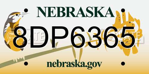 8DP6365 Nebraska License Plate