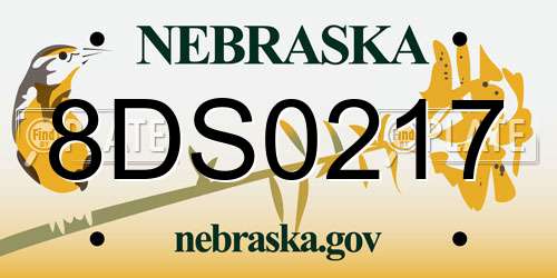 8DS0217 Nebraska License Plate