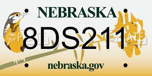 8DS211 Nebraska License Plate