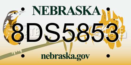 8DS5853 Nebraska License Plate