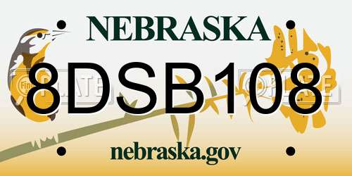 8DSB108 Nebraska License Plate