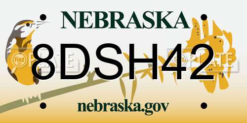 8DSH42 Nebraska License Plate