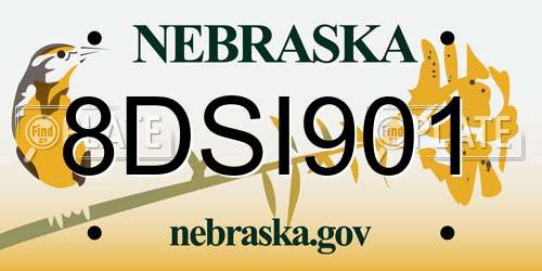 8DSI901 Nebraska License Plate