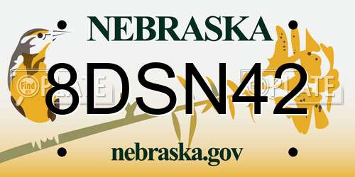 8DSN42 Nebraska License Plate