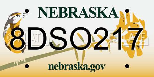 8DSO217 Nebraska License Plate