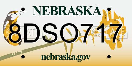 8DSO717 Nebraska License Plate