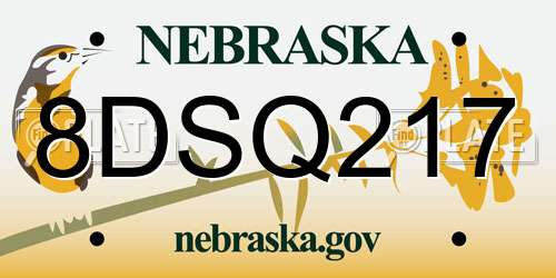 8DSQ217 Nebraska License Plate
