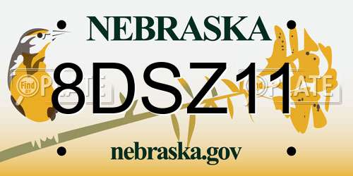 8DSZ11 Nebraska License Plate