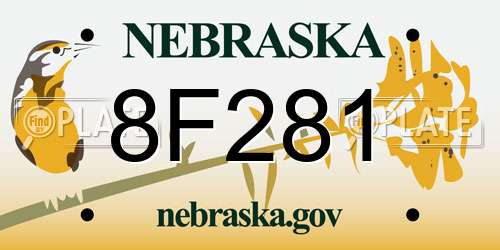8F281 Nebraska License Plate