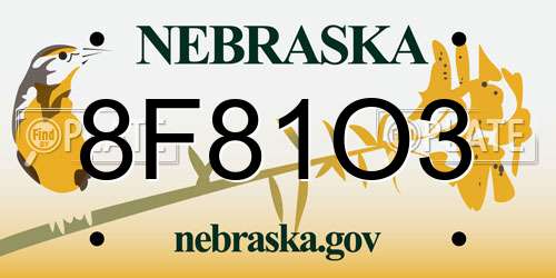 8F81O3 Nebraska License Plate