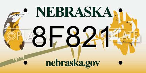 8F821 Nebraska License Plate