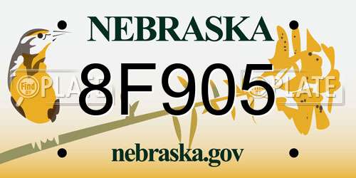 8F905 Nebraska License Plate