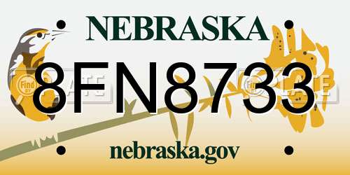 8FN8733 Nebraska License Plate