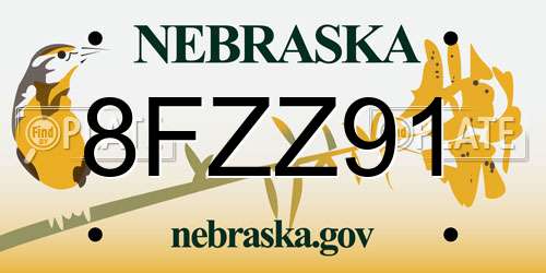 8FZZ91 Nebraska License Plate