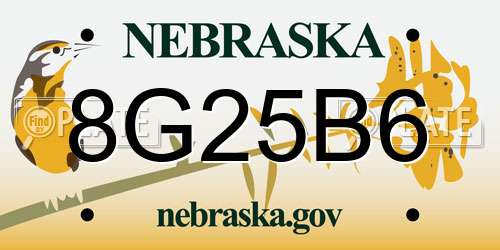 8G25B6 Nebraska License Plate
